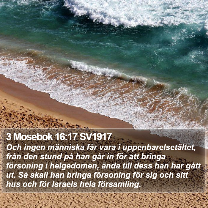 3 Mosebok 16:17 SV1917 Bible Study