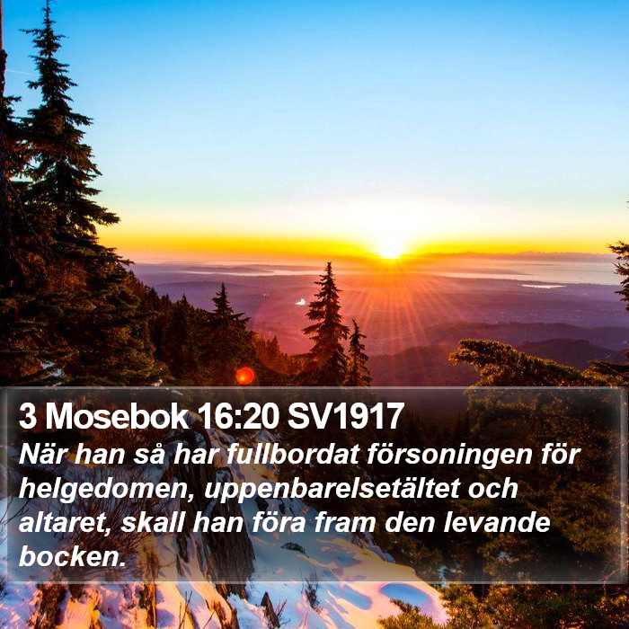 3 Mosebok 16:20 SV1917 Bible Study
