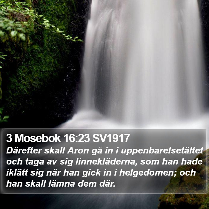 3 Mosebok 16:23 SV1917 Bible Study