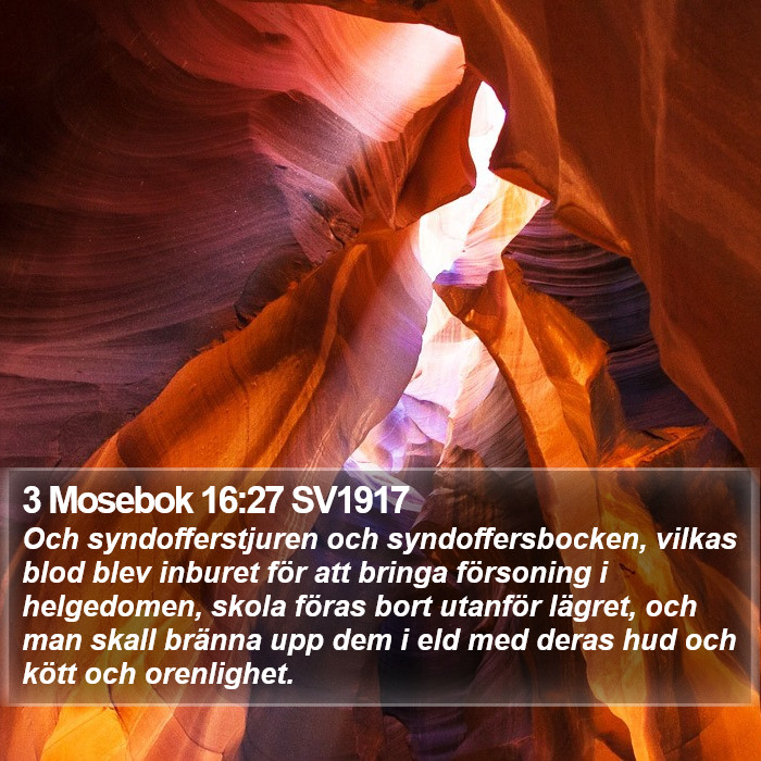 3 Mosebok 16:27 SV1917 Bible Study
