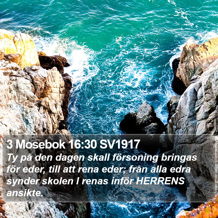 3 Mosebok 16:30 SV1917 Bible Study