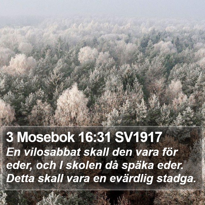3 Mosebok 16:31 SV1917 Bible Study