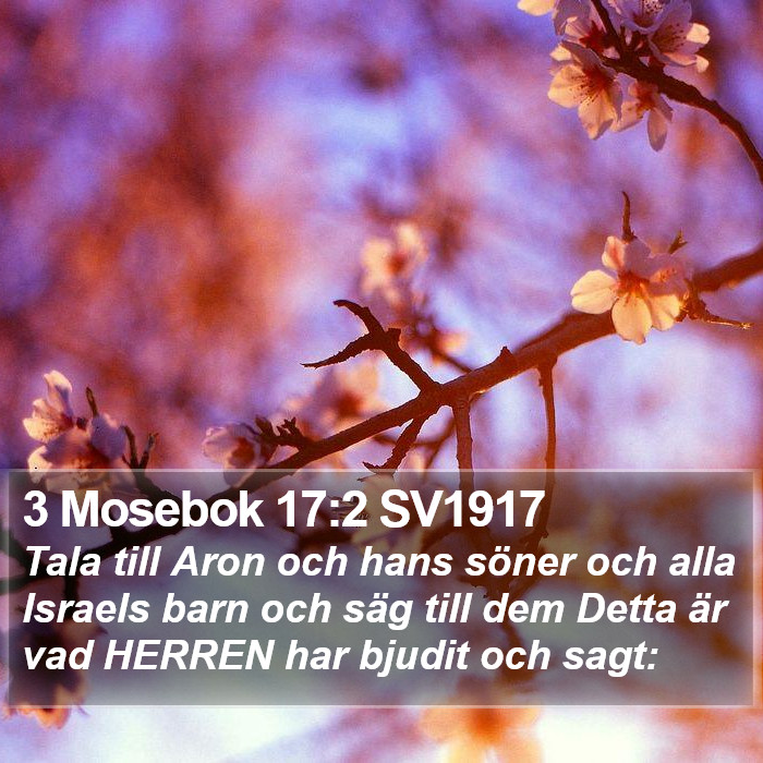 3 Mosebok 17:2 SV1917 Bible Study