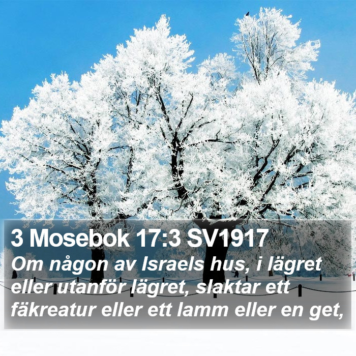 3 Mosebok 17:3 SV1917 Bible Study