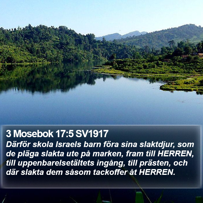 3 Mosebok 17:5 SV1917 Bible Study