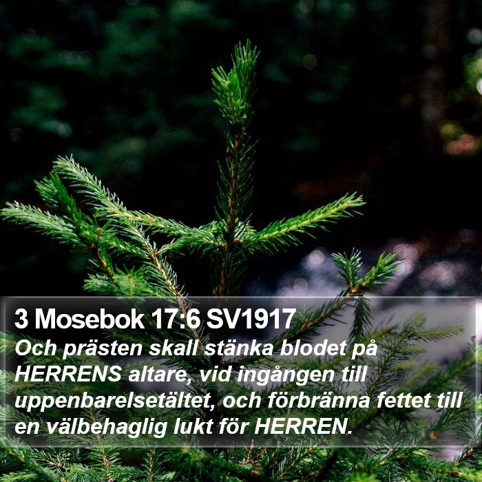 3 Mosebok 17:6 SV1917 Bible Study