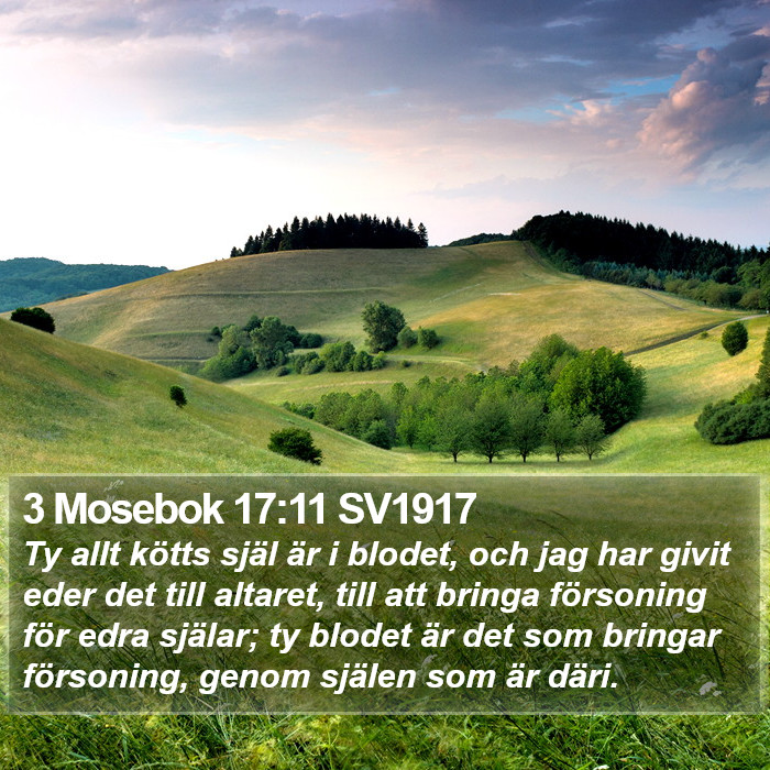3 Mosebok 17:11 SV1917 Bible Study
