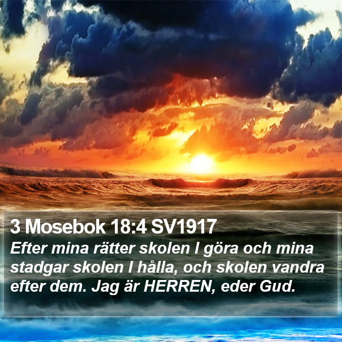 3 Mosebok 18:4 SV1917 Bible Study