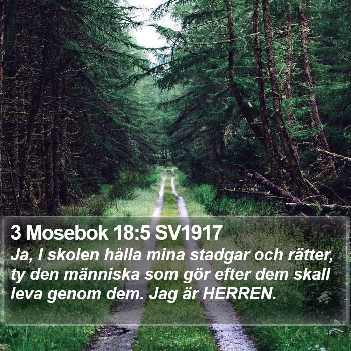 3 Mosebok 18:5 SV1917 Bible Study