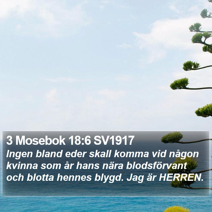 3 Mosebok 18:6 SV1917 Bible Study