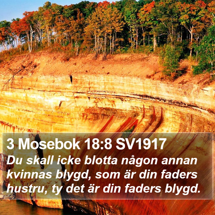 3 Mosebok 18:8 SV1917 Bible Study