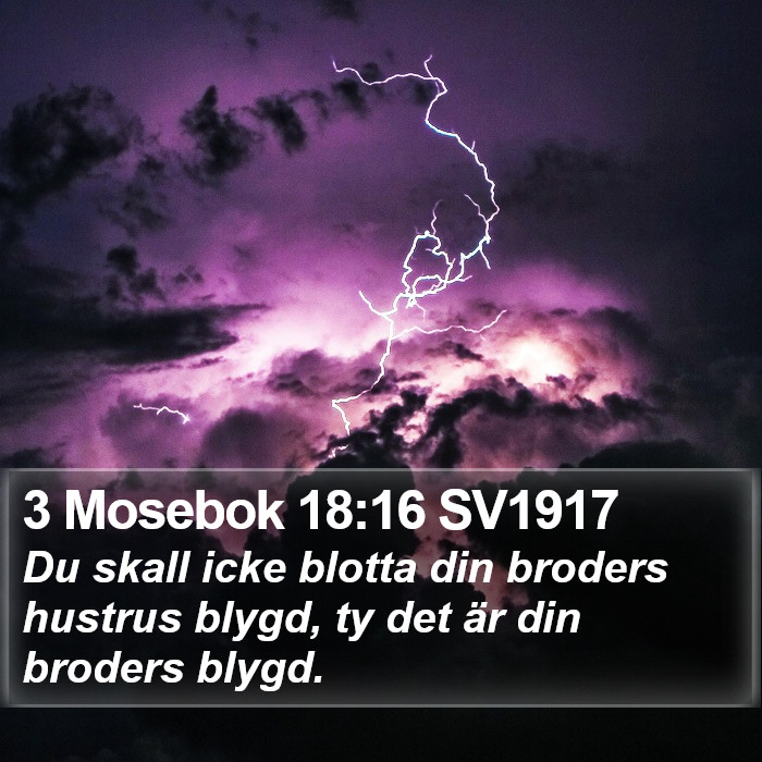 3 Mosebok 18:16 SV1917 Bible Study