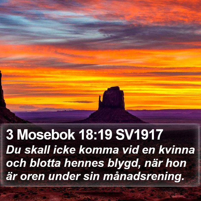 3 Mosebok 18:19 SV1917 Bible Study