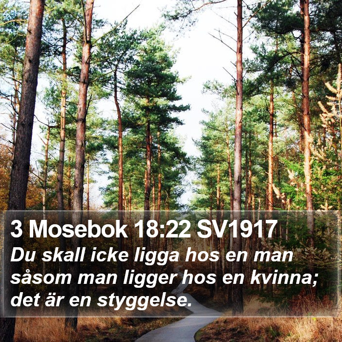 3 Mosebok 18:22 SV1917 Bible Study