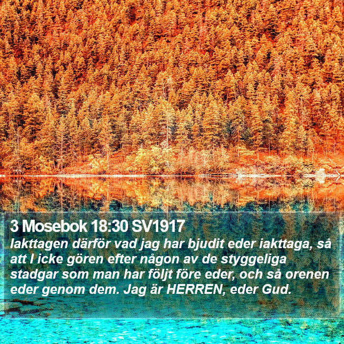 3 Mosebok 18:30 SV1917 Bible Study