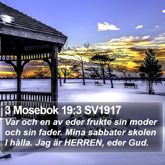 3 Mosebok 19:3 SV1917 Bible Study