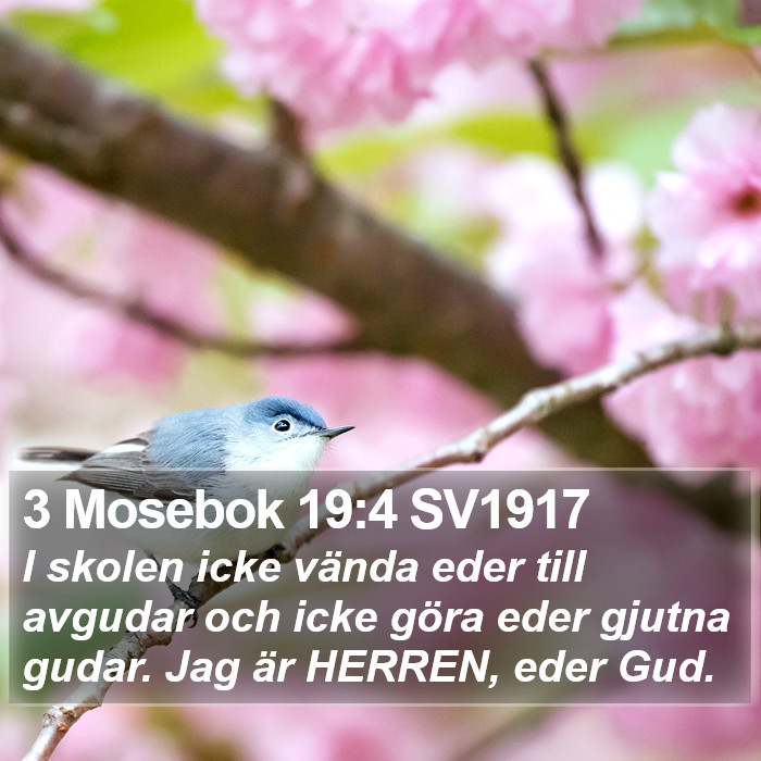 3 Mosebok 19:4 SV1917 Bible Study