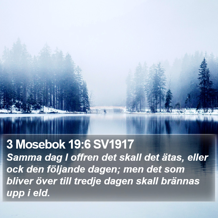 3 Mosebok 19:6 SV1917 Bible Study