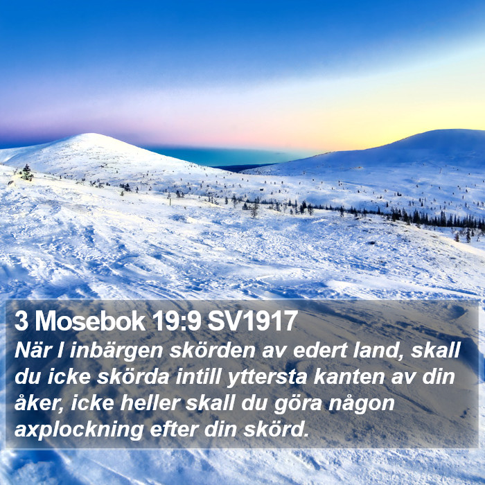 3 Mosebok 19:9 SV1917 Bible Study