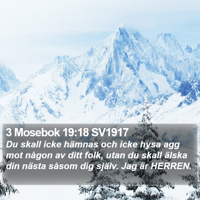 3 Mosebok 19:18 SV1917 Bible Study