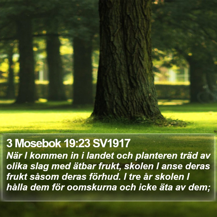 3 Mosebok 19:23 SV1917 Bible Study