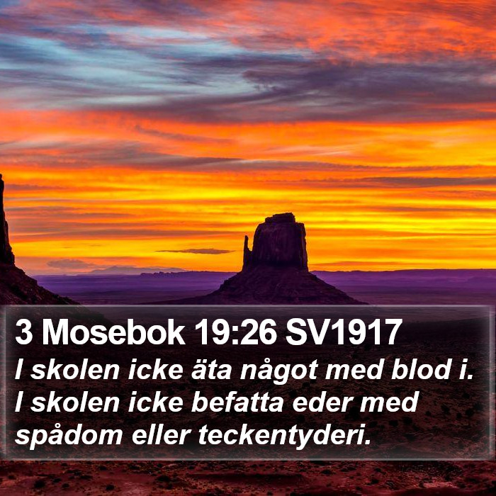 3 Mosebok 19:26 SV1917 Bible Study