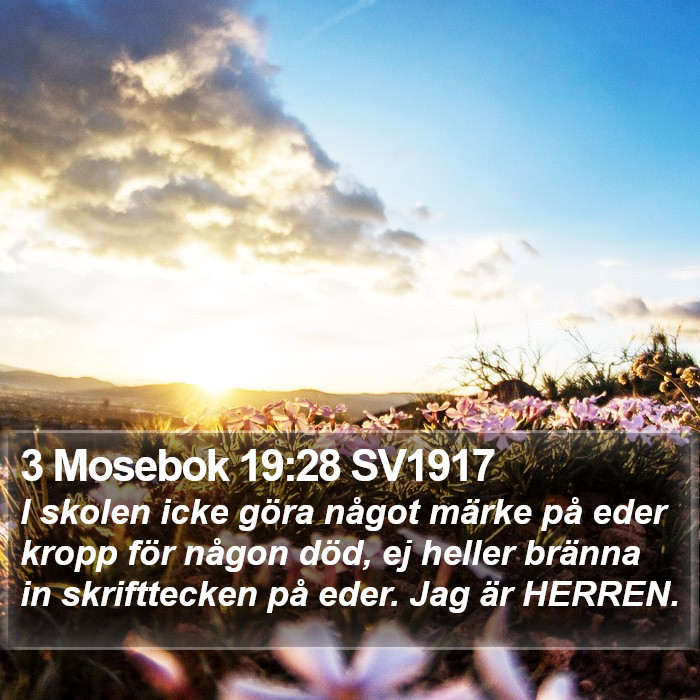 3 Mosebok 19:28 SV1917 Bible Study