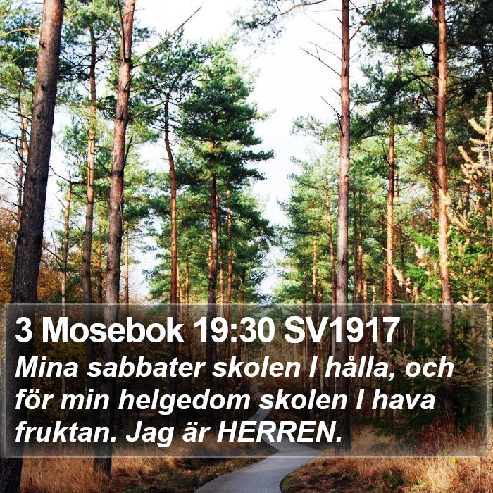 3 Mosebok 19:30 SV1917 Bible Study