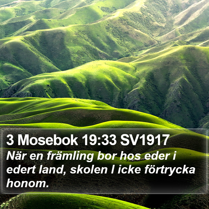 3 Mosebok 19:33 SV1917 Bible Study
