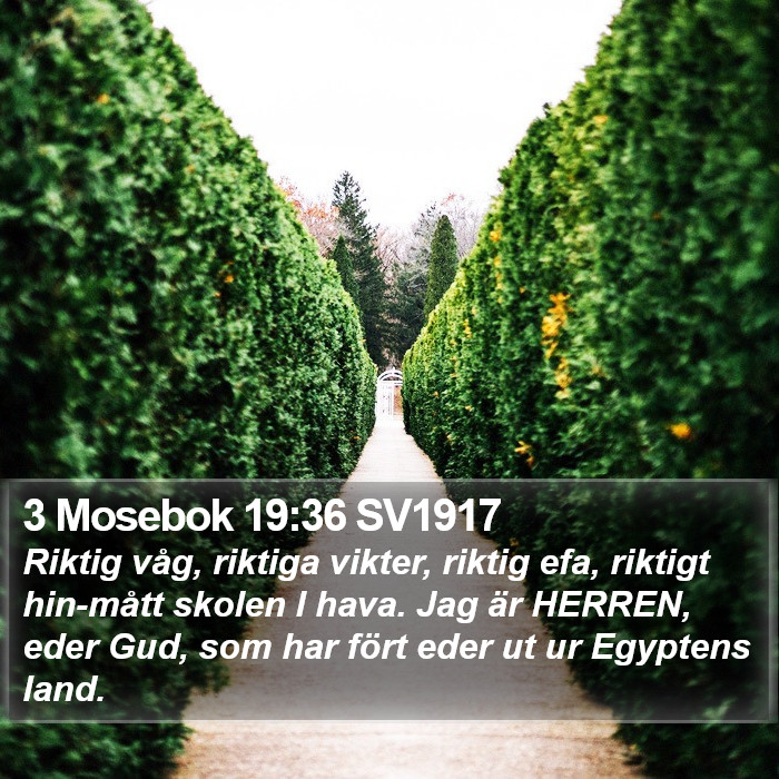 3 Mosebok 19:36 SV1917 Bible Study