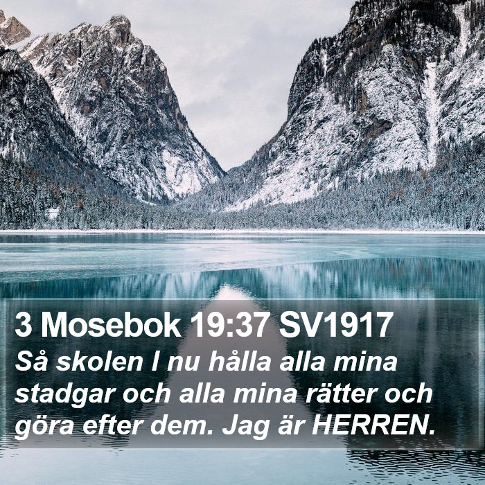 3 Mosebok 19:37 SV1917 Bible Study