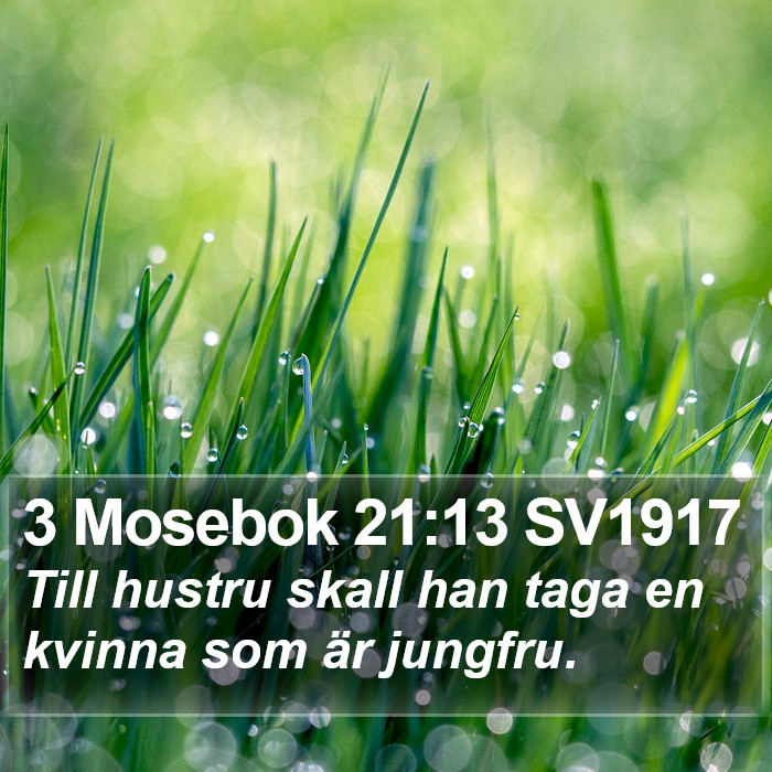 3 Mosebok 21:13 SV1917 Bible Study
