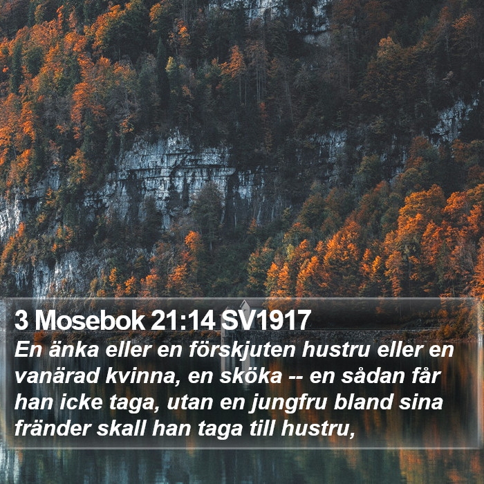 3 Mosebok 21:14 SV1917 Bible Study