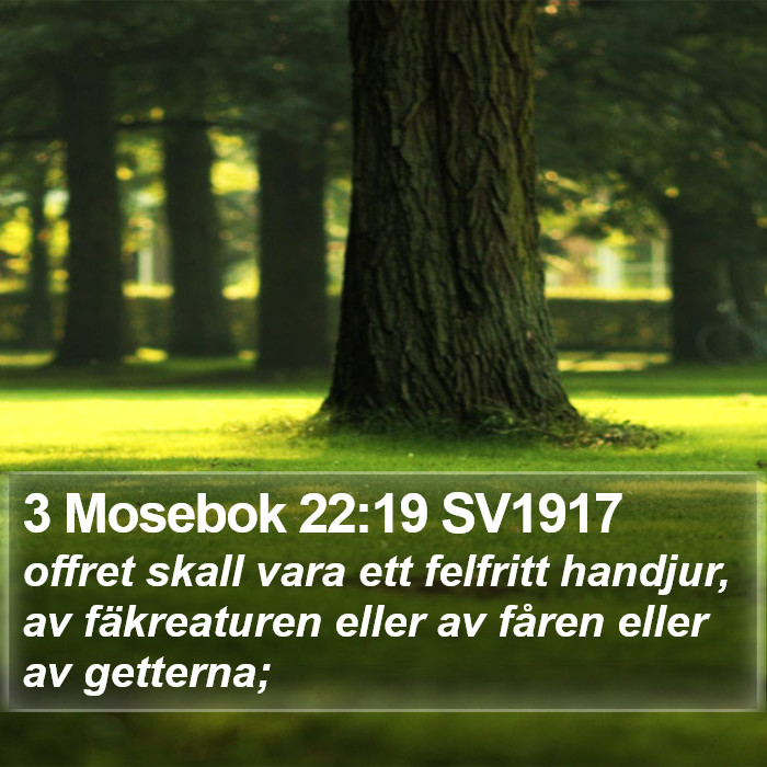 3 Mosebok 22:19 SV1917 Bible Study