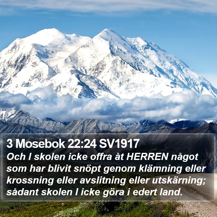 3 Mosebok 22:24 SV1917 Bible Study