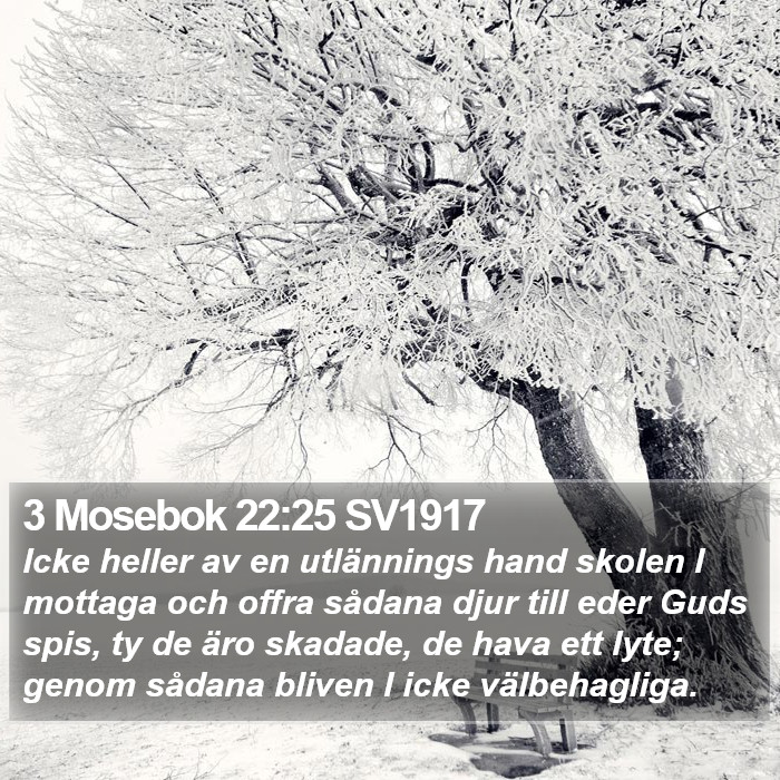 3 Mosebok 22:25 SV1917 Bible Study