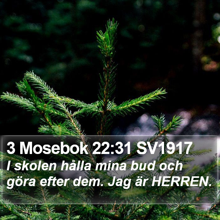 3 Mosebok 22:31 SV1917 Bible Study