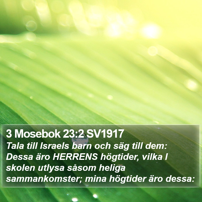 3 Mosebok 23:2 SV1917 Bible Study