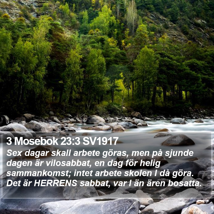 3 Mosebok 23:3 SV1917 Bible Study