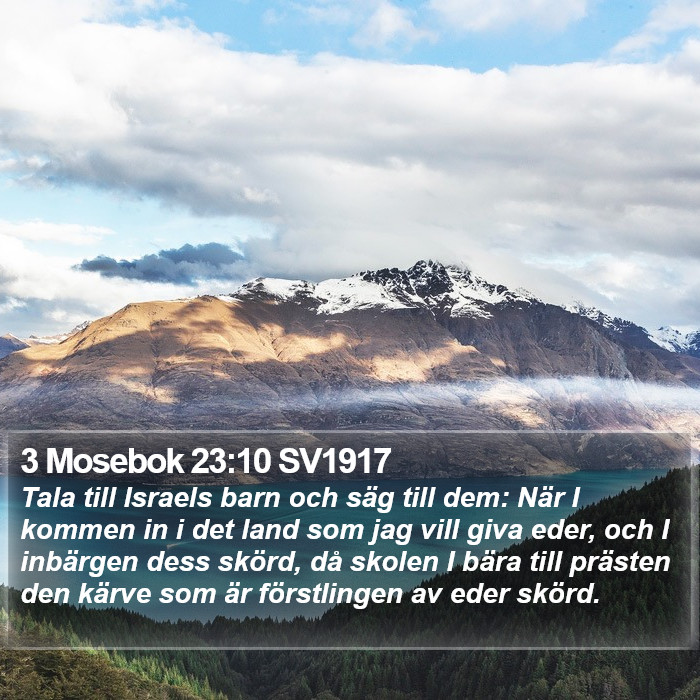 3 Mosebok 23:10 SV1917 Bible Study