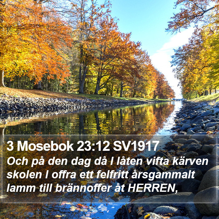 3 Mosebok 23:12 SV1917 Bible Study