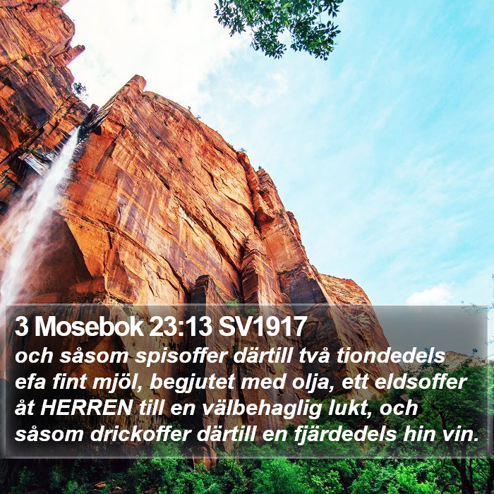 3 Mosebok 23:13 SV1917 Bible Study