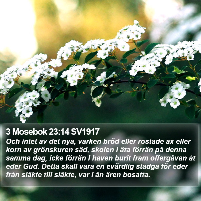 3 Mosebok 23:14 SV1917 Bible Study