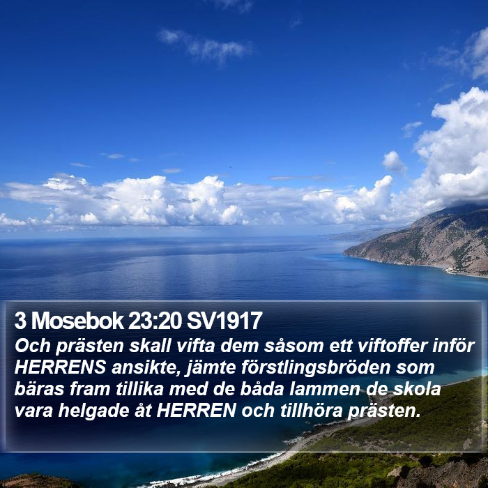 3 Mosebok 23:20 SV1917 Bible Study