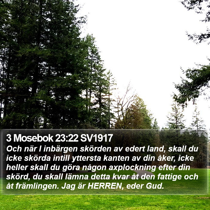 3 Mosebok 23:22 SV1917 Bible Study