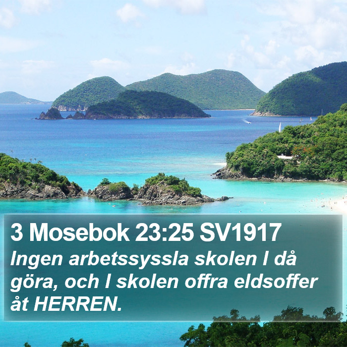 3 Mosebok 23:25 SV1917 Bible Study