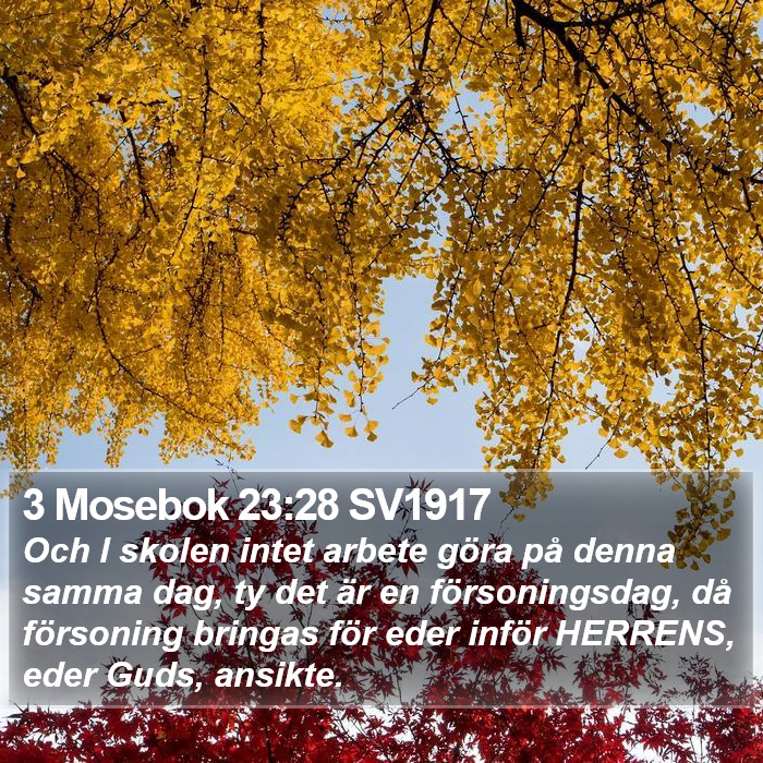 3 Mosebok 23:28 SV1917 Bible Study