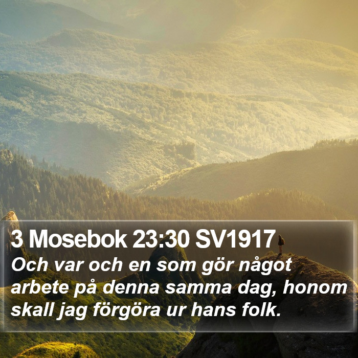 3 Mosebok 23:30 SV1917 Bible Study