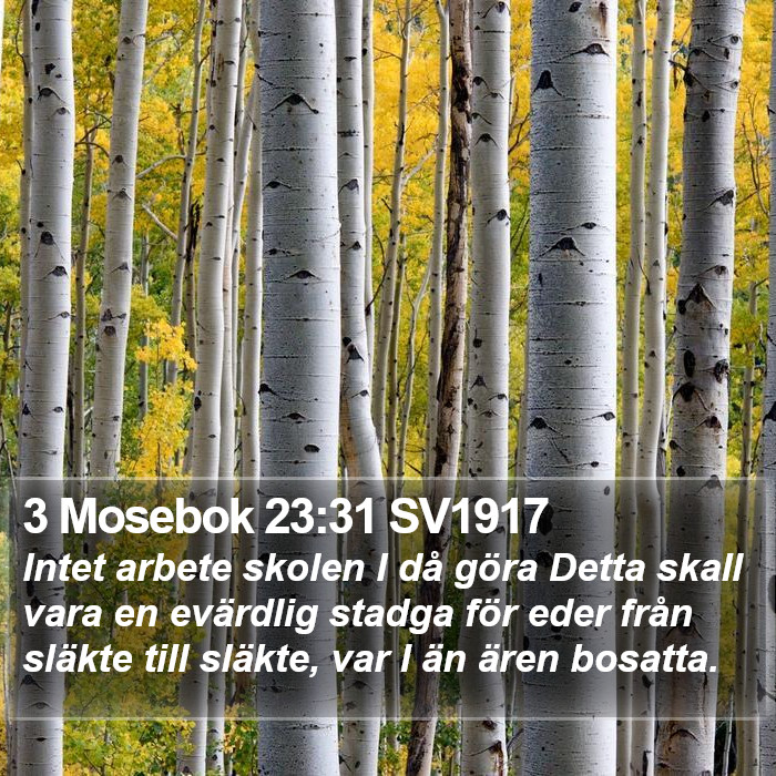 3 Mosebok 23:31 SV1917 Bible Study