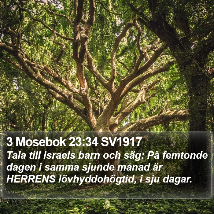 3 Mosebok 23:34 SV1917 Bible Study